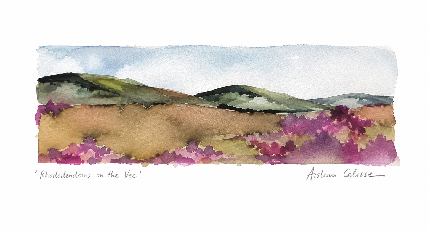 Rhododendrons on the Vee