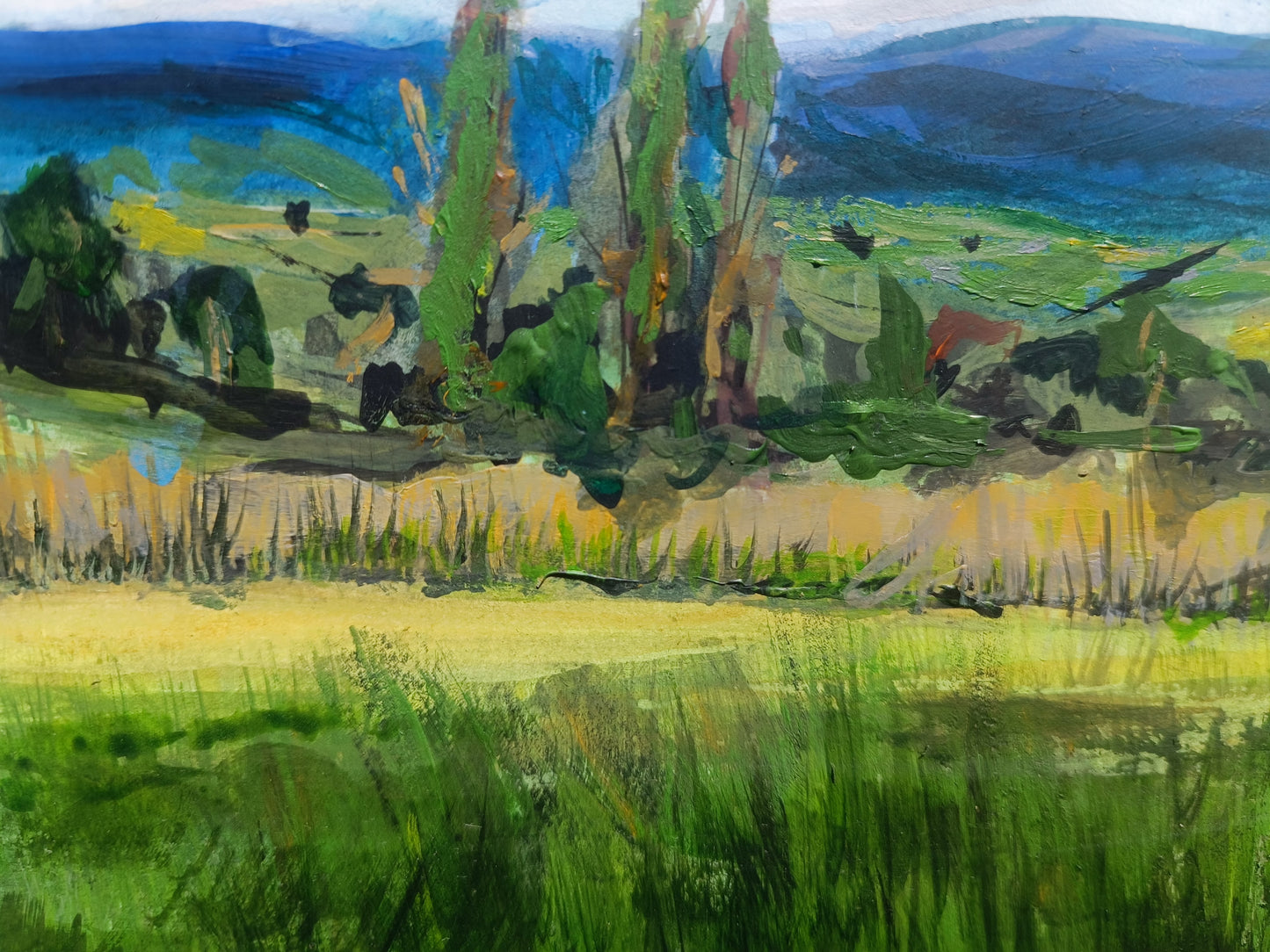 Fields of Home